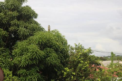 a group of trees with a tower in the background at Emmanuel in Sainte-Rose
