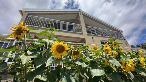 a house with a bunch of sunflowers in front of it at Casa Malee in Calheta