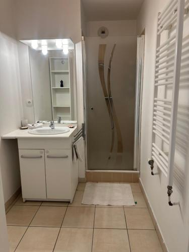 une salle de bain blanche avec une douche et un lavabo dans l'établissement Soleil de Lyon - Appartement lumineux au centre-ville, à Lyon