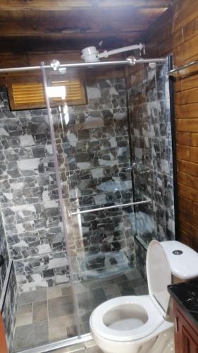 a bathroom with a toilet and a shower at Cabaña Buenos aires in Sogamoso
