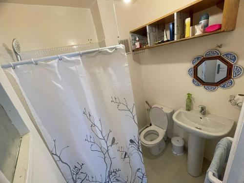 a bathroom with a shower curtain with a toilet and a sink at Apartment in M'diq in M'diq