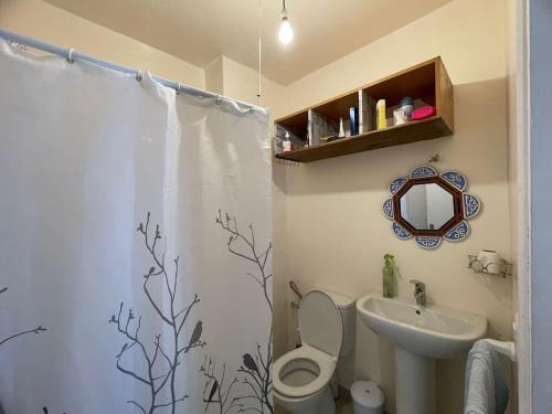 a bathroom with a shower curtain and a toilet and a sink at Apartment in M'diq in M'diq