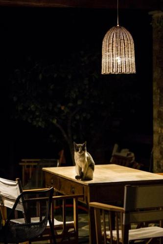 Ospiti di Kalderimi Country House con animali domestici
