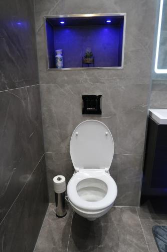 a bathroom with a white toilet with a blue tank at Quaint Retreat In The Historic District Local in Sherborne