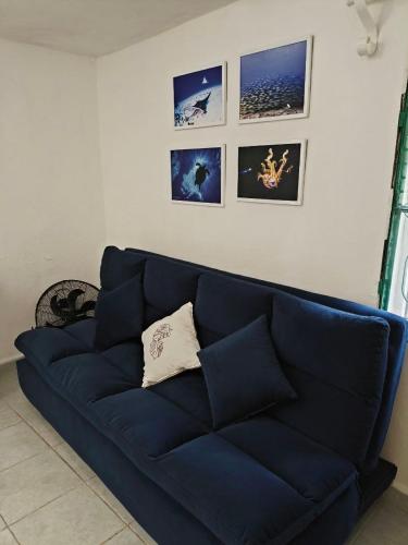 a blue couch in a living room with pictures on the wall at Studios Yaxkin, located in downtown in Cozumel