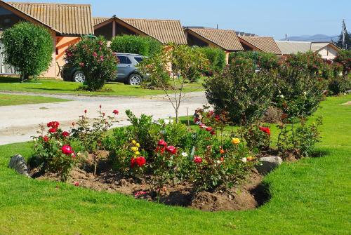 a garden of flowers in the yard of a house at Apart Hotel Y Cabanas Vegasur in La Serena