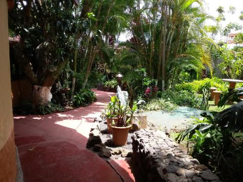 a garden with palm trees and a stone path at Hotel Cibeles Resort in Heredia