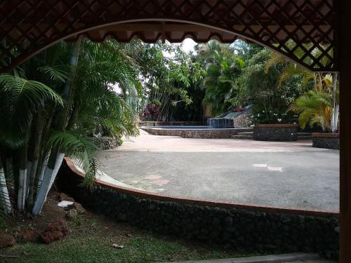 a view of a courtyard with a palm tree at Hotel Cibeles Resort in Heredia