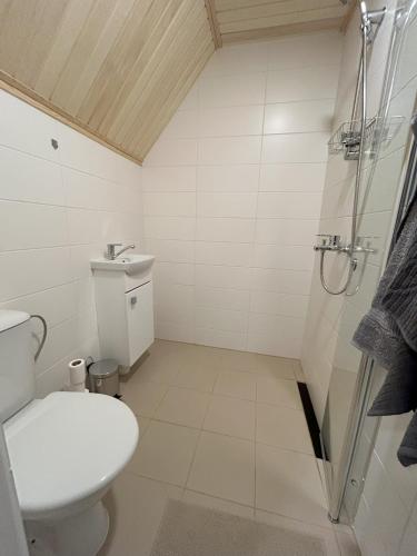 a bathroom with a toilet and a shower at Oisu-Risti apartments in Oisu