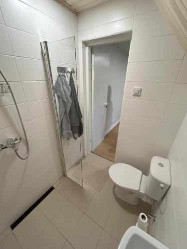 a bathroom with a toilet and a glass shower door at Oisu-Risti apartments in Oisu