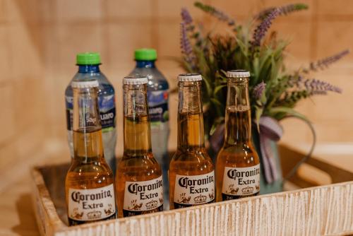 a group of bottles of beer sitting on a shelf at B10 Dom LUX z Alpakami & Basen SPA in Ełk