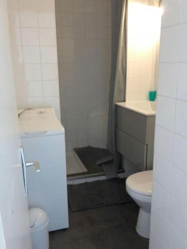 une salle de bain avec toilettes, lavabo et douche dans l'établissement Très joli studio,bien équipé terrasse,internet, au Cannet
