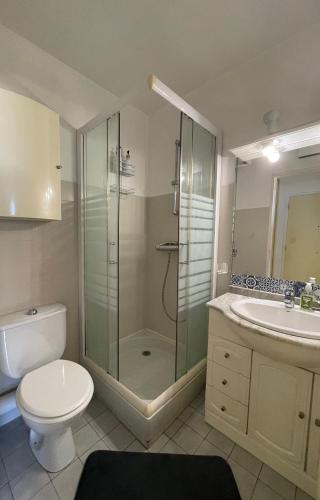 une salle de bain avec une douche, des toilettes et un lavabo dans l'établissement Beau studio coin nuit Centre Antibes, à Antibes