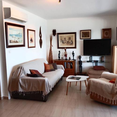 un salon avec un canapé et une télévision à écran plat dans l'établissement Appartement T2 face Mer, moderne, clim, parking 4NOUM6, à Canet