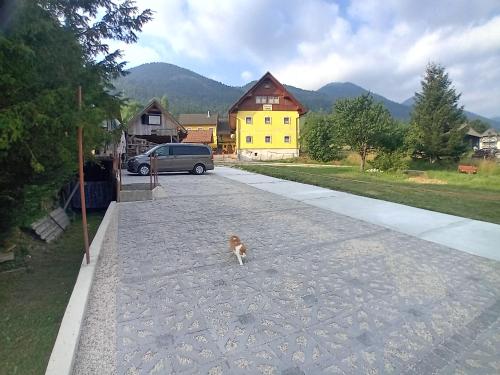 a dog walking down a street with a yellow house at B&B family room Tubej in Bohinj