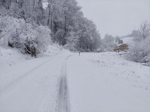 a road covered in snow with a person walking down it at Zelena Oaza in Zgornja Kungota