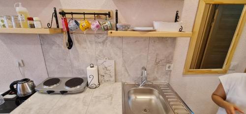 Kuchyň nebo kuchyňský kout v ubytování Dila Apart Hotel