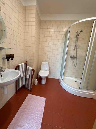 a bathroom with a shower and a sink and a toilet at Villa Sirena Apartments in Pärnu