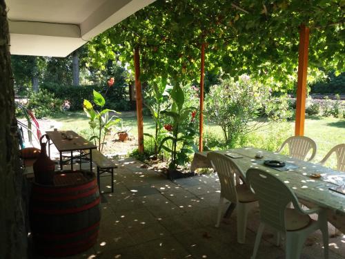 Badacsonyi Lugas apartmanok 8261 Badacsonytomaj, Park u 61. kép - 3