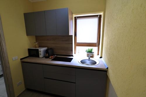 a small kitchen with a sink and a window at Georgescu House in Făgăraş