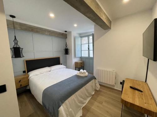 a bedroom with a large bed and a television at Casa do queixeiro in Castroverde