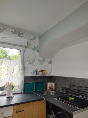 une cuisine avec un évier et une fenêtre dans l'établissement Jolie maison, à Vaas