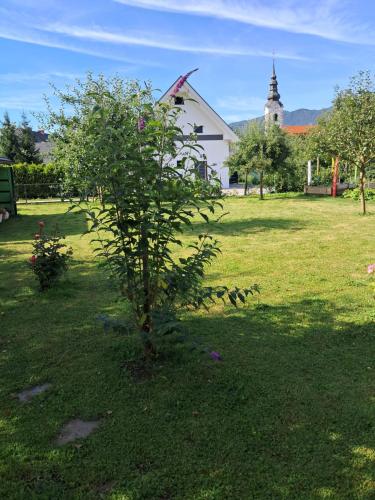 a small tree in the grass in front of a church at Apartment BellArt with Sauna in Radovljica