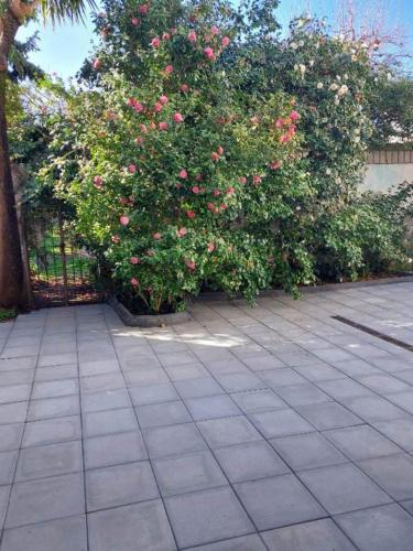 Κήπος έξω από το La casa delle Camelie
