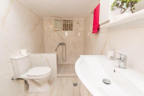 a bathroom with a toilet and a sink and a shower at Palm Tree 1 in Karianí