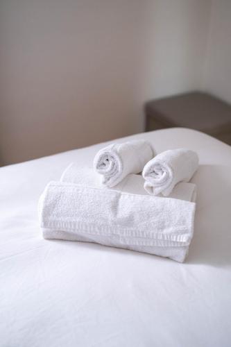 2 serviettes laminées assises au-dessus d'un lit dans l'établissement Appartement cosy 6 pers près du lac avec garage, à Annecy