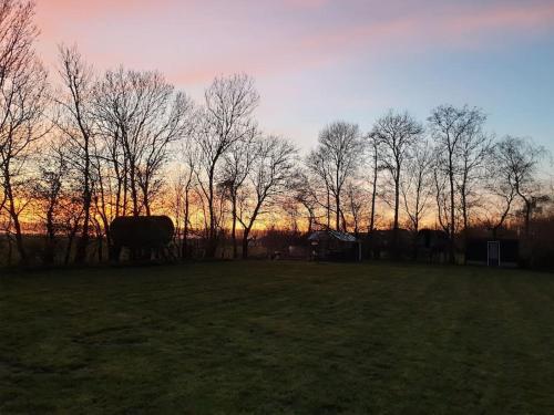 a cow standing in a field with trees in the background at Twee heerlijke Boomhutten in de natuur, Amsterdam in Nigtevecht
