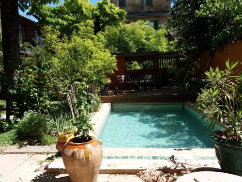 - une petite piscine dans une cour ornée de plantes dans l'établissement maison 3 chambres centre ville, jardin et bassin privatifs, à Montpellier