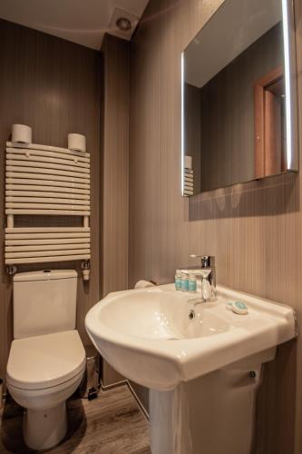 a bathroom with a sink and a toilet and a mirror at New Kent Apartments in London