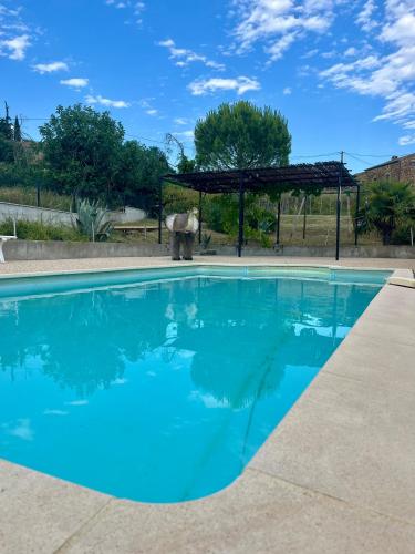 un éléphant debout à côté d'une piscine bleue dans l'établissement les voyageur, à Vinezac