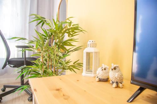 Φωτογραφία από το άλμπουμ του Sunflower Apartment Céntrico στην Ταραγόνα