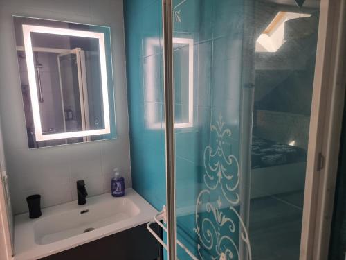 une salle de bain avec une douche, un lavabo et un miroir dans l'établissement LE CROSERY Clim Rando Ski BBQ Voie Verte, à Thiéfosse