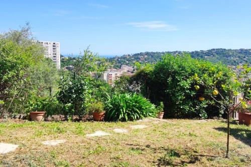 un jardin avec des arbres et des plantes dans un champ dans l'établissement Chez LINAT - Studio en rez de jardin au calme avec vue mer, à Vallauris