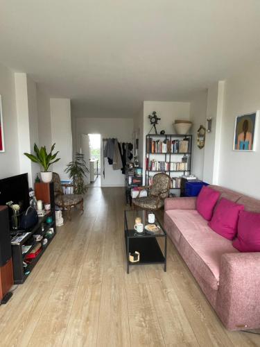 - un salon avec un canapé rose et du parquet dans l'établissement Appartement sur quai de Seine, à Boulogne-Billancourt