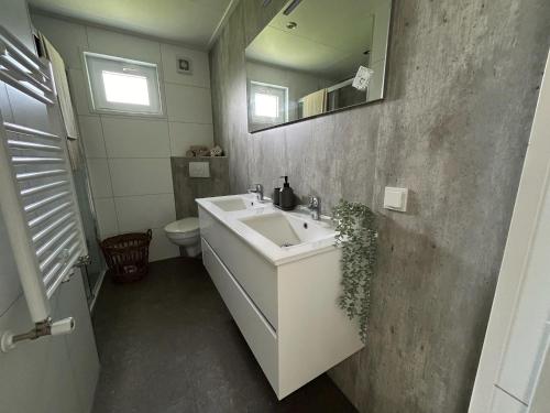 a bathroom with a sink and a toilet at Bungalowpark de Horn - Floresta 214 in Dirkshorn