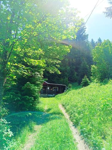 a path leading to a cabin in the middle of a field at Cabana din padure in Neagra