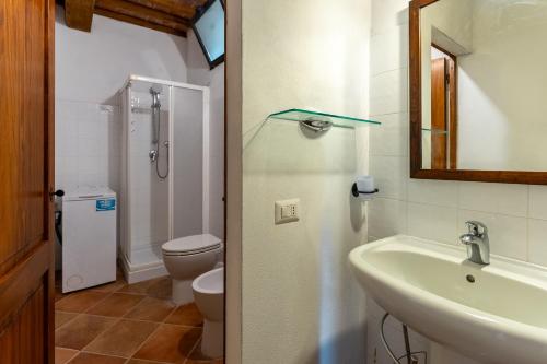 a bathroom with a sink and a toilet and a mirror at Bellaria Apartments - Chianti View, Swimming Pool, Nature in San Sano