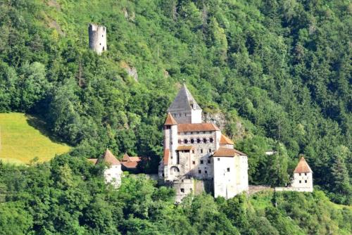 a castle on the side of a hill with trees at Haus Pferscher in Barbiano