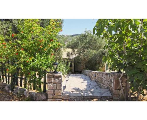 a stone pathway with trees and a stone wall at Adamantia Newly Built Room A4 in Gaios