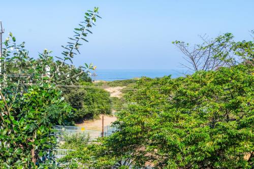 a view of a dirt road through the trees at ATKV Natalia in Kingsburgh