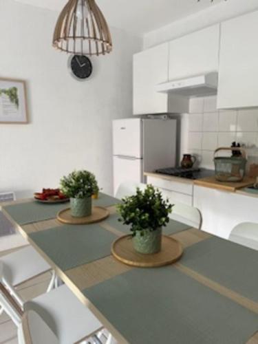 une cuisine avec deux plantes en pot sur un comptoir dans l'établissement Comfortable apartment with 2 balconies, à Antibes