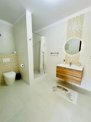a bathroom with a toilet and a sink and a mirror at Pensiunea Magura in Măgura
