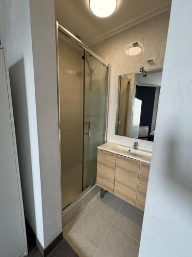une salle de bain avec une douche, un lavabo et un miroir dans l'établissement Appartement 2 pièces proche Paris, à Ivry-sur-Seine