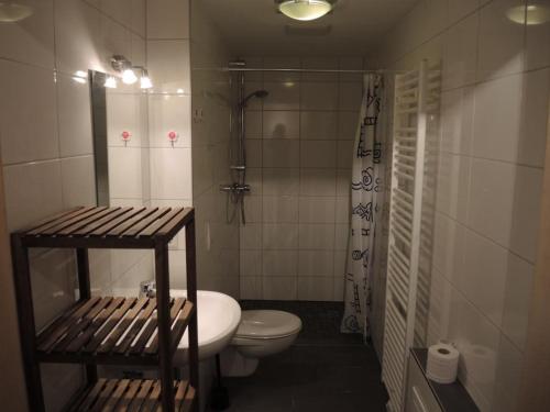 a bathroom with a toilet and a shower and a sink at Wohnwerk41 in Schwäbisch Hall