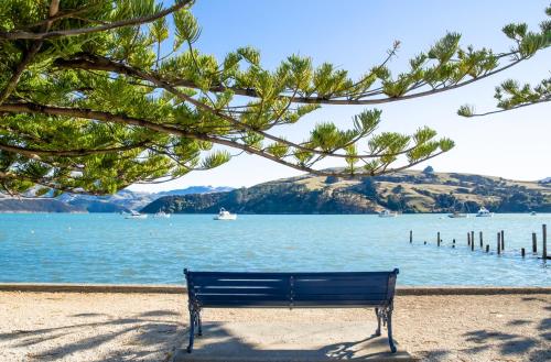 a blue bench sitting next to a body of water at Akaroa Top 10 Holiday Park in Akaroa