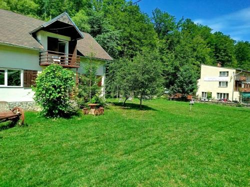 a yard of a house with a yard sidx sidx sidx at Complex Adela Transfăgărășan in Cîrţişoara